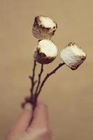 drei geröstete Marshmellows auf einem Campingausflug foto