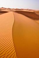 Sahara-Dünen foto