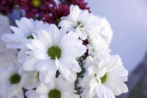 Blumen auf einem Friedhof foto