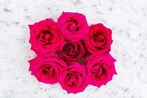 rosa Rosen auf weißem Hintergrund. Ansicht von oben foto