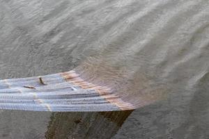 Fischernetz wird aus dem Wasser gezogen. foto