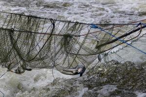 Süßwasserfische im Netz über dem fließenden Wasser. foto