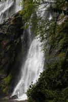 Wasserfall in der Nähe von Bäumen. foto