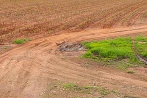 verfolgt die unbefestigte Straße in der Tapioka-Farm. foto