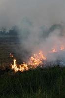 Flammen verbrannten Gras. foto