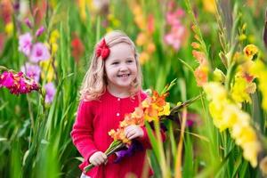 Kind, das frische Gladiolenblumen pflückt foto