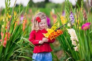Kind, das frische Gladiolenblumen pflückt foto
