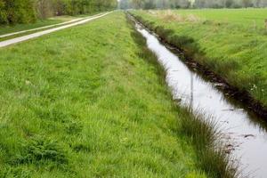 Weg mit Wasser zum Feld foto