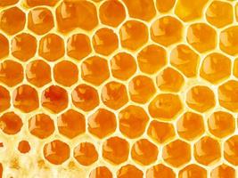 Bienenwaben-Nahaufnahme, frischer, fadenziehender, süßer Honig, Makrohintergrund foto