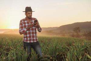 Geschäftsmann mit einem Tablet überprüft die Ähren. konzept des landwirtschaftlichen geschäfts. Agronom, der auf dem Feld arbeitet, untersucht die gereiften Ähren. Geschäftsmann, der in der Landwirtschaft arbeitet. Smartphone. foto