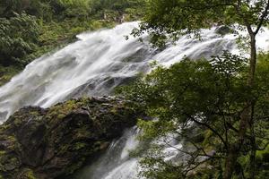 Wasserfall in der Nähe von Bäumen. foto