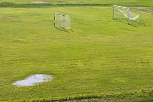 Grüner Rasen mit einem Fußballtor. foto