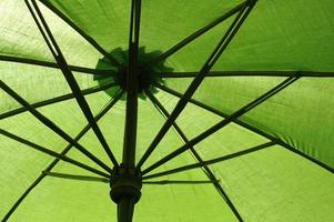 grüner Regenschirmhintergrund foto