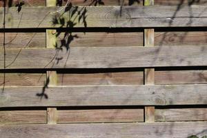 Nahaufnahme auf verschiedenen Holzoberflächen von Plankenstämmen und Holzwänden in hoher Auflösung foto