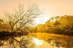 landschaft morgens mit baumast über nebligem fluss bei sonnenaufgang im wald khao yai, thailand foto