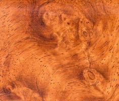 Hintergrund und Textur von Makro-Ormosia-Holz foto