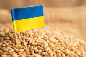 Getreideweizen mit ukrainischer Flagge, Handelsexport und Wirtschaftskonzept.