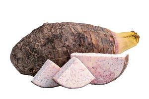 Taro oder Colocasia esculenta und Scheibe isoliert auf weißem Hintergrund mit Beschneidungspfad. foto