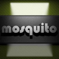 Mückenwort aus Eisen auf Kohlenstoff foto