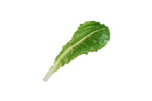 grünes Lattich- oder Römersalatblatt isoliert auf weißem Hintergrund mit Beschneidungspfad. foto
