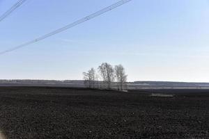 landwirtschaftliches Ackerfeld im Frühjahr und blauer Himmel foto
