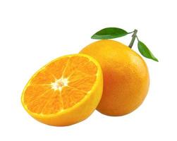 Orangenfrucht lokalisiert auf weißem Hintergrund foto