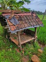 ein kleines gebäude im reis, ein ort für bauernruhe in indonesien foto