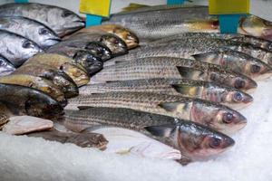 Frischer Fischfang zum Verkauf am Marktstand foto