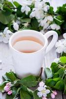 Tasse grüner Tee und Blüte foto
