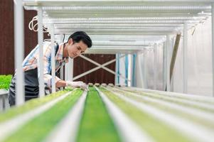 asiatischer mann, der kleine salatbaumschule in der hydrokulturfarm überprüft foto