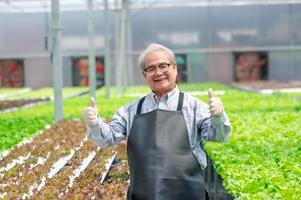 glücklicher erfolgreicher älterer asiatischer landwirt, der den daumen nach oben in der hydrokulturfarm des gewächshauses zeigt foto