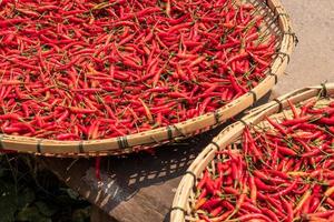 Viele rote Chilis liegen tagsüber in einem Körbchen in der Sonne.