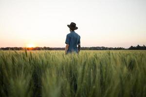 Junger männlicher Bauer steht während des Sonnenuntergangs allein im Weizenfeld foto