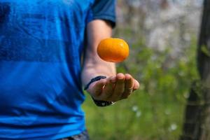 Männchen mit Mandarine in der Hand hautnah foto