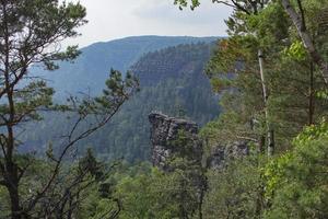 landschaft in den bergen im nationalpark der tschechischen schweiz, kiefernwald und felsen foto