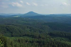 landschaft in den bergen im nationalpark der tschechischen schweiz, kiefernwald und felsen foto