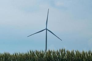 Windmühlen zur Stromerzeugung in den Weizenfeldern gegen blauen Himmel foto