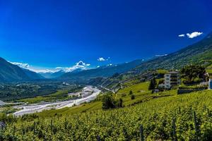 Weinberge und Fluss im Tal der Schweizer Alpen, Leuk, Visp, foto