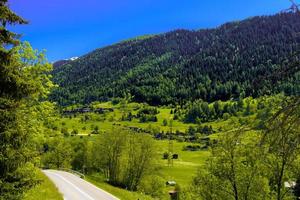 alpberge mit wald und feldern, fiesch, goms, wallis, vala foto