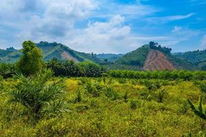 landschaft mit palmen und felsen klippen, khlong phanom national pa foto