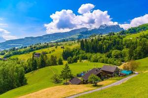 holzhäuschen häuser auf grüner wiese, greifer, werdenberg, st. ga foto