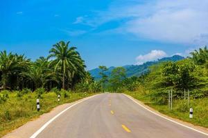 asphaltierte autobahnstraße im dschungel, khlong phanom nationalpark, ka foto