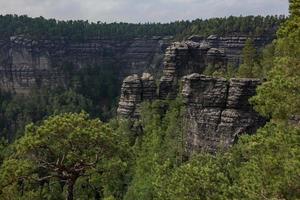 landschaft in den bergen im nationalpark der tschechischen schweiz, kiefernwald und felsen foto