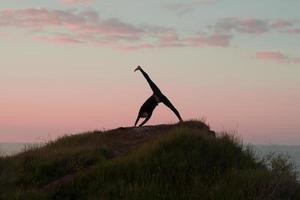 fitte Frau, die Yoga-Stretching-Übungen im Freien in einer wunderschönen Berglandschaft macht. frau auf dem felsen mit meer und sonnenaufgang oder sonnenuntergang hintergrund training asans. Silhouette der Frau in Yoga-Posen foto