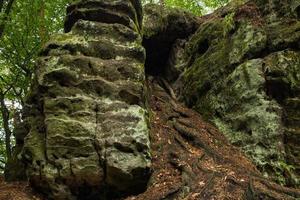 landschaft in den bergen im nationalpark der tschechischen schweiz, kiefernwald und felsen foto