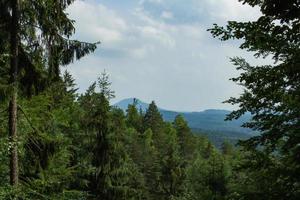 landschaft in den bergen im nationalpark der tschechischen schweiz, kiefernwald und felsen foto