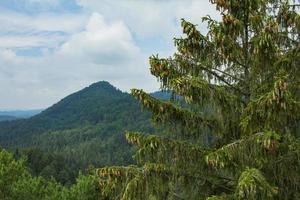 landschaft in den bergen im nationalpark der tschechischen schweiz, kiefernwald und felsen foto