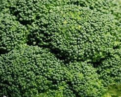 Makrotextur des grünen Brokkolis