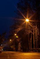 zünde viele Lampen und Bäume auf der dunklen Straße an.. foto