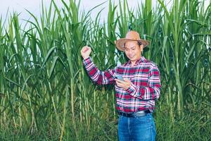 Ein asiatischer Bauer in einem karierten Hemd steht auf einem Feld. foto